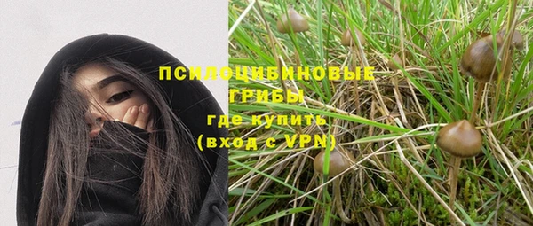 шишки Вяземский