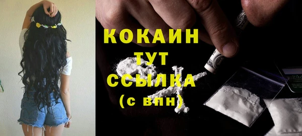 шишки Вяземский