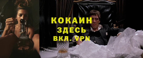 амф Вязьма
