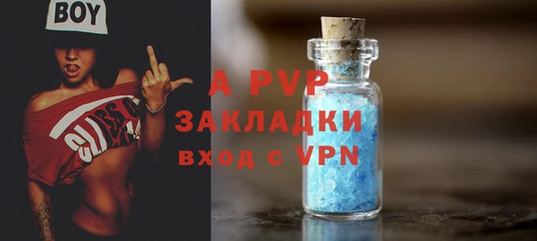 амф Вязьма